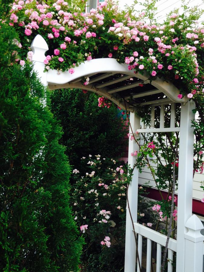 Rosberg House Bed and Breakfast Lindsborg Buitenkant foto